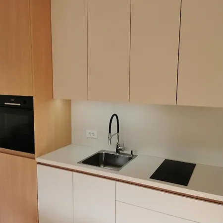 191 With Balcony Apartment Ljubljana